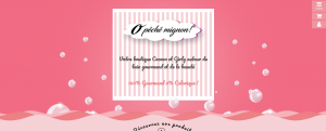 Site Ecommerce Cholet